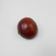 Chestnut Magnet - Fake Food Japan