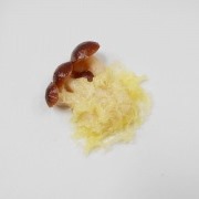 Mushroom Tempura Magnet - Fake Food Japan