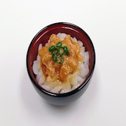 Natto (Fermented Soybeans) & Rice Mini Bowl - Fake Food Japan