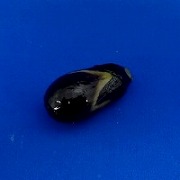 eggplant_small_magnet