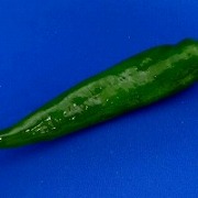 green_chili_pepper_magnet