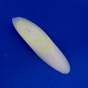 sliced_white_spring_onion_magnet