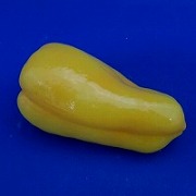 yellow_pepper_magnet