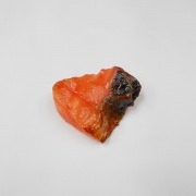 grilled_salmon_small_magnet