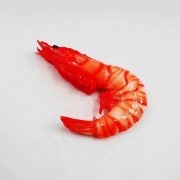 whole_shrimp_small_magnet