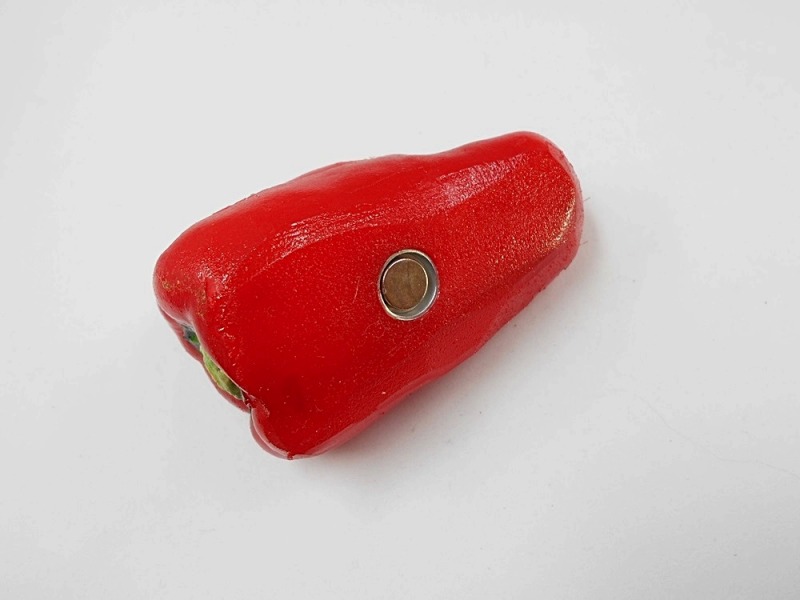 Red Pepper Magnet | Fake Food Japan