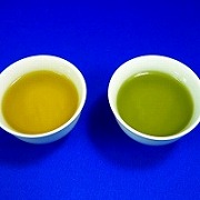 Assorted Japanese Tea Replica - Fake Food Japan