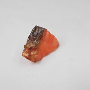 Grilled Salmon (small) Plug Cover - Fake Food Japan