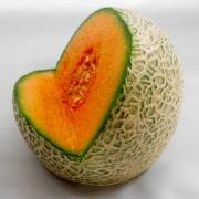 Melon Smartphone Stand - Fake Food Japan