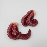 Octopus Magnet - Fake Food Japan