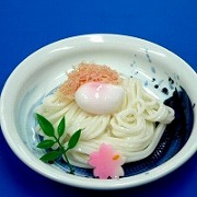 Shoyu (Soy Sauce) Udon Noodles with Egg Replica - Fake Food Japan