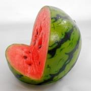 Watermelon Tablet Stand - Fake Food Japan