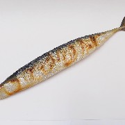 Yaki Sanma (Grilled Mackerel Pike) Magnet - Fake Food Japan